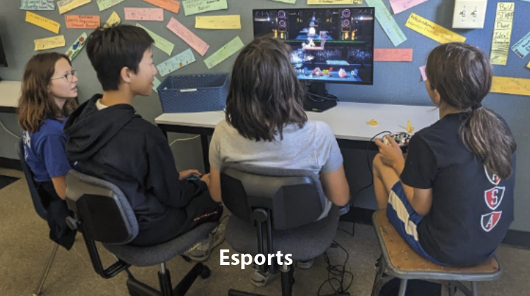 Junior high Esports elective