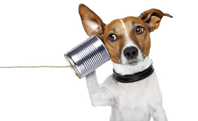 We're listening