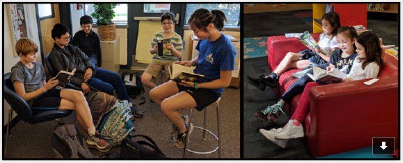 student groups in library