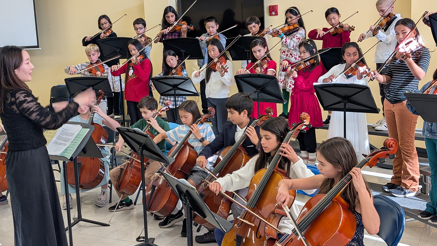 violin, viola or cello